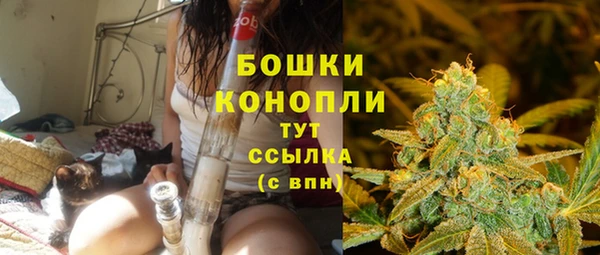 бошки Алексин