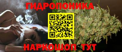 jwh Канаш