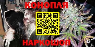 jwh Камышлов
