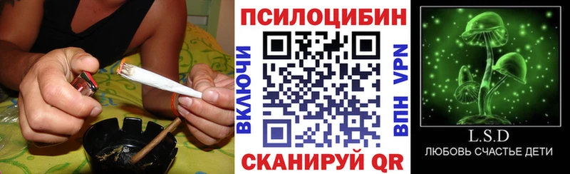 Псилоцибиновые грибы GOLDEN TEACHER что такое Кудрово