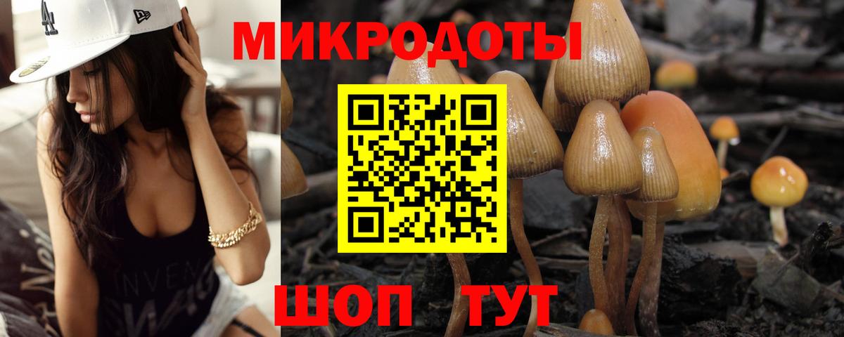 Галлюциногенные грибы ЛСД  Вход с VPN  Кудрово  Псилоцибиновые грибы прущие грибы 