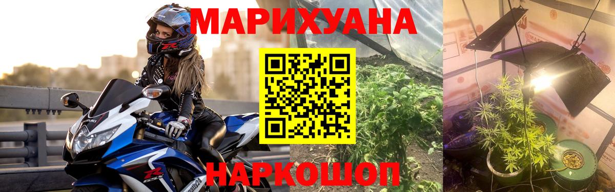 Бошки марихуана сатива Кудрово